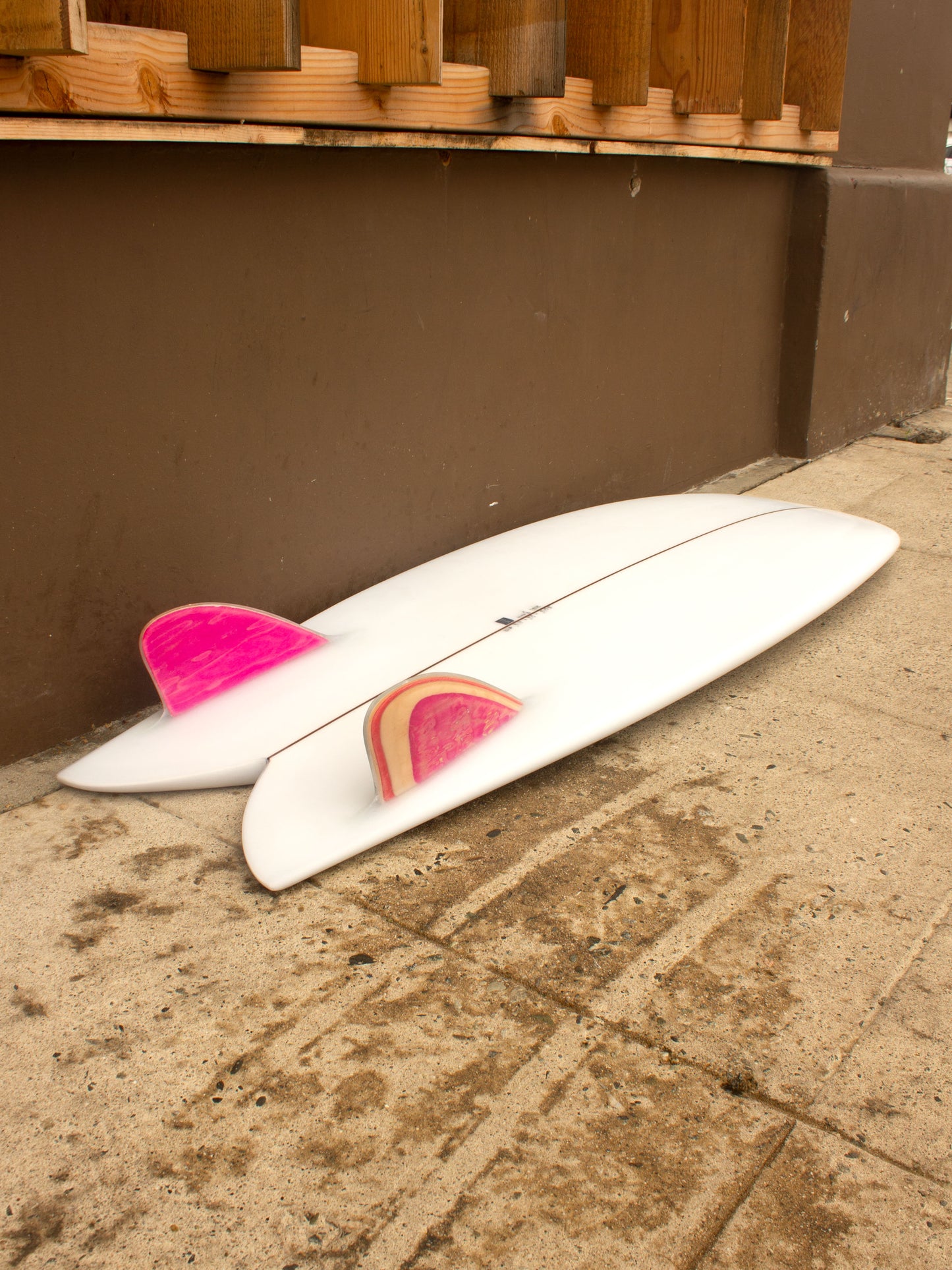 5'6 Round Fish